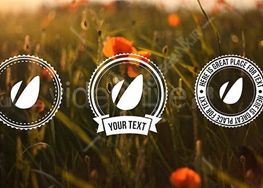 دانلود پروژه افترافکت Light Vintage - Lower Thirds Pack
