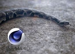 آموزش ساخت مار سه بعدی در Cinema4d