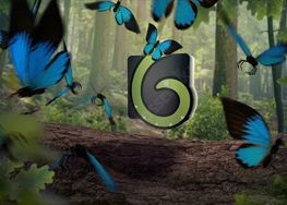دانلود پروژه افترافکت افتتاحیه Butterfly Logo Opener 4K