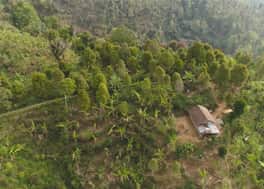 فوتیج زمین کشاورزی در کوه Farmland In The Mountain
