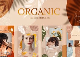 پروژه افتر افکت 12 استوری اینستاگرام ارگانیک Organic Social