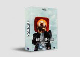 دانلود 10 پریست رنگ کابردی BEGINNER LUTS | PACK