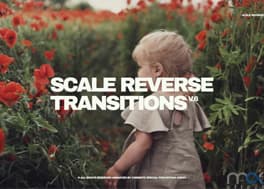 دانلود 16 ترانزیشن آماده پریمیر Scale Reverse