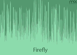 موزیک زمینه Firefly برای تیزر تبلیغات