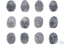 دانلود وکتور 12 اثر انگشت Fingerprint vector set