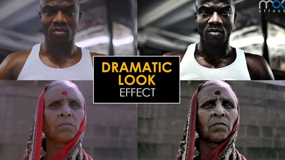 مجموعه پریست رنگ دراماتیک پریمیر