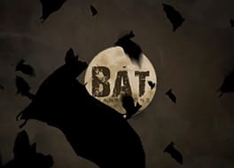 مجموعه فوتیج ترانزیشن خفاشی Bat Transitions