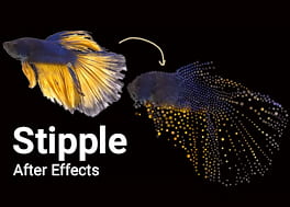 پلاگین افتر افکت Stipple v1.0.5 + آموزش