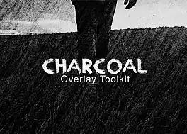 پروژه پریمیر 10 افکت ویدیویی Charcoal
