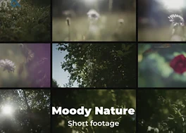 20 فوتیج کوتاه طبیعت Moody Nature