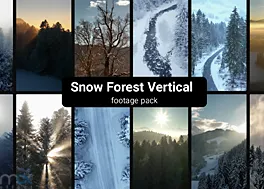 فوتیج جنگل در زمستان Snow Forest Vertical