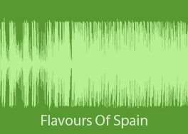 آهنگ بی کلام پرانرژی گیتار Flavours