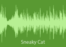 دانلود آهنگ بی کلام طنز Sneaky Cat