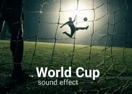 مجموعه افکت صوتی جام جهانی World Cup