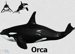 دانلود فوتیج سه بعدی نهنگ قاتل Orca